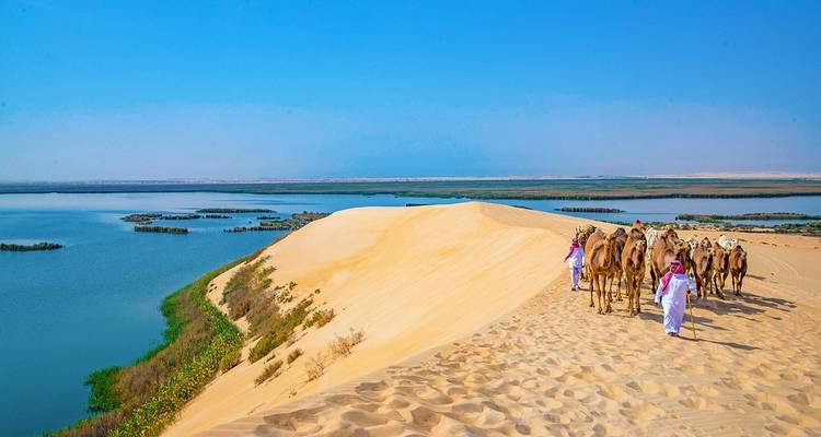 Tailor-Made Saudi Arabia Family Tour, Daily Departure & Private Guide - Agate Travel 10