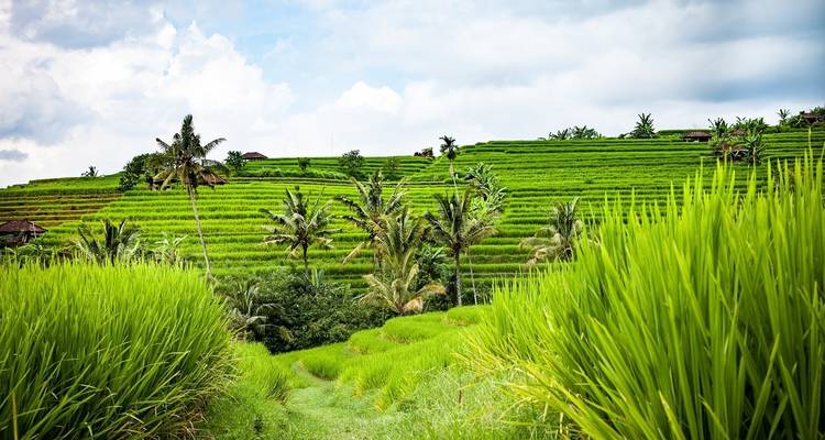 Classique Bali et Lombok - G Adventures 7