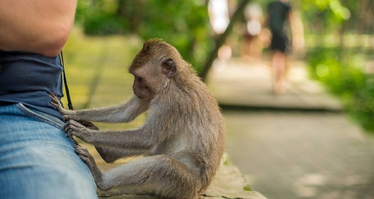 Classique Bali et Lombok - G Adventures 8