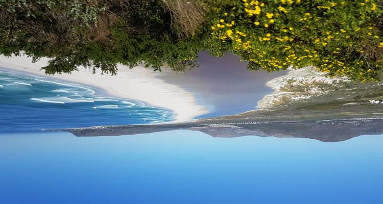 Une vue côtière avec une plage et l'océan.