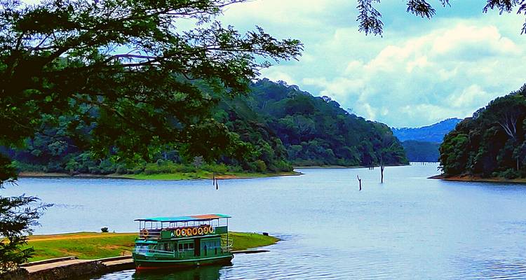 Excursión en tierra: circuito privado de lujo a Munnar y Thekkady - desde Kochi/Goa/Chennai, etc., con vuelos: exóticas plantaciones de té y especias, Santuario de vida salvaje de Periyar - Adreva Trotter Pvt Ltd 10