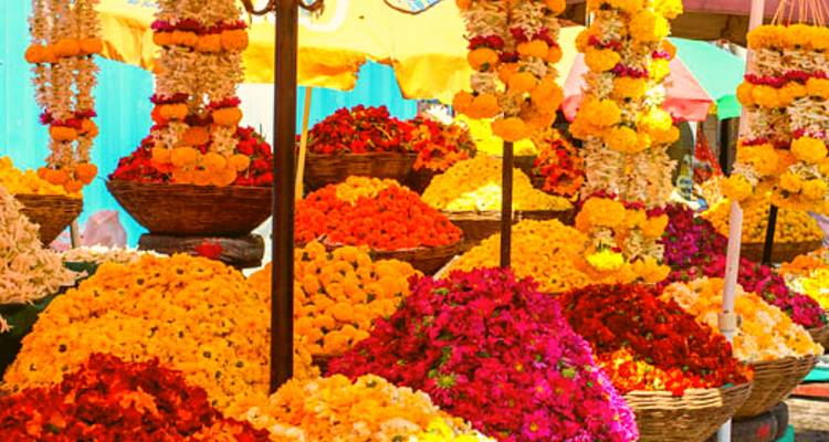 Private Luxury Guided Tour to Mumbai (From Delhi with flights): Caves, Heritage Walks, Flower Markets and lots more - Adreva Trotter Pvt Ltd 8