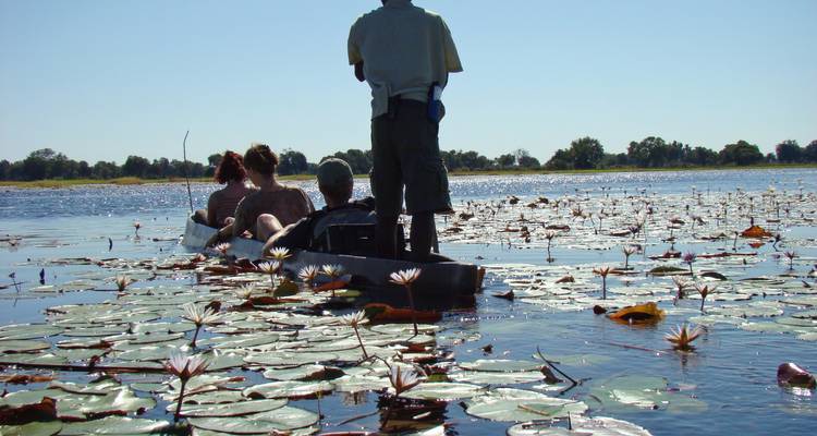 Personas en canoas explorando un lago lleno de nenúfares.