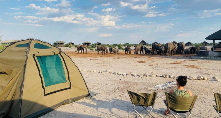 Escena de campamento con personas cerca de una tienda observando elefantes.