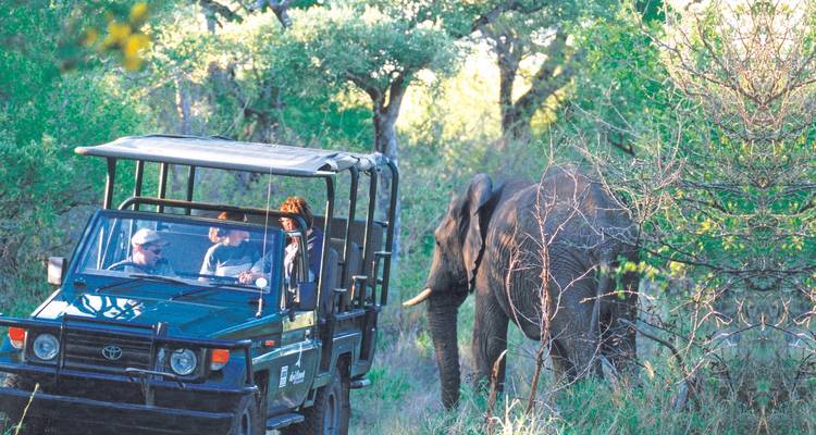 24 JOURS - TOUR D'AFRIQUE AUSTRALE / EN HÉBERGEMENT (Namibie, Botswana, Zimbabwe et Afrique du Sud) - Drifters Adventure Tours 4