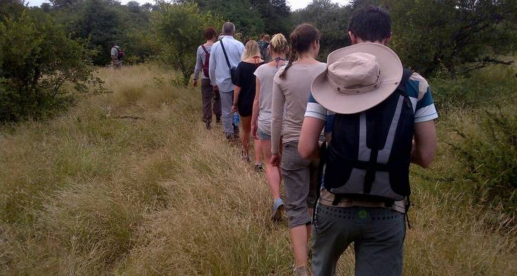 12 DÍAS - Kenia y Tanzania por Tierra / Acampada - Drifters Adventure Tours 4
