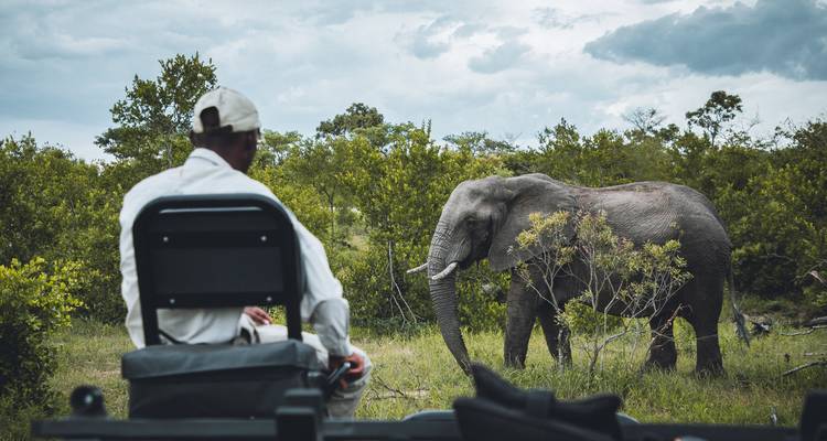 9-Days Private Safari visiting all National Parks luxury Tour - African Polecat Safaris 7