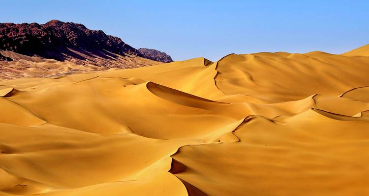 Dunes de sable ondulantes dans un vaste paysage désertique.