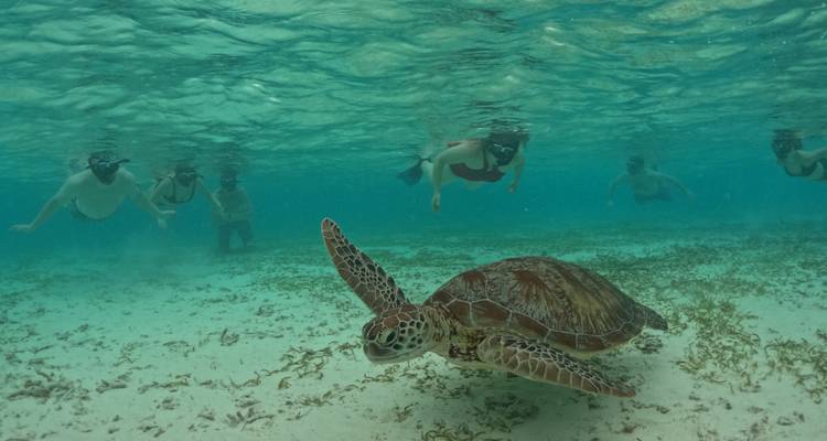 Escapade de rêve aux Maldives - BH Lanka Tours  7