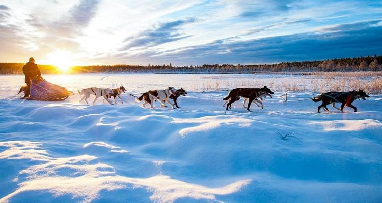 Lapland - 9 Days Adventure Trip - Chamaeleon 4