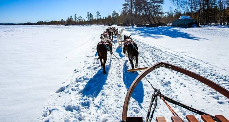 Lapland - 9 Days Adventure Trip - Chamaeleon 7