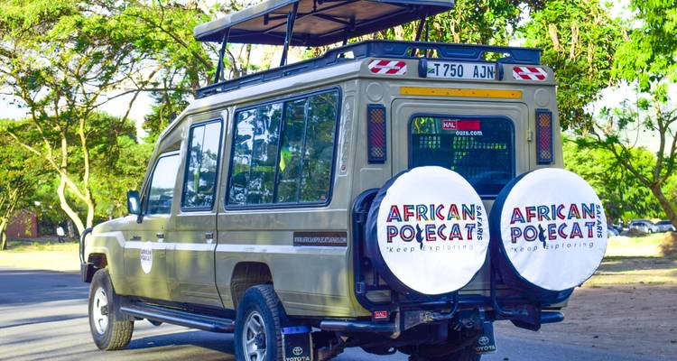 Auto met reservebanden gelabeld 'AFRIKAANSE BUNZING'.