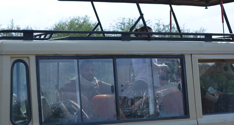 3-Days Tarangire, Ngorongoro & Lake Manyara Mid-range Lodge Safari Experience - African Polecat Safaris 8