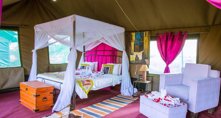 3-Days Tarangire, Ngorongoro & Lake Manyara Mid-range Lodge Safari Experience - African Polecat Safaris 1