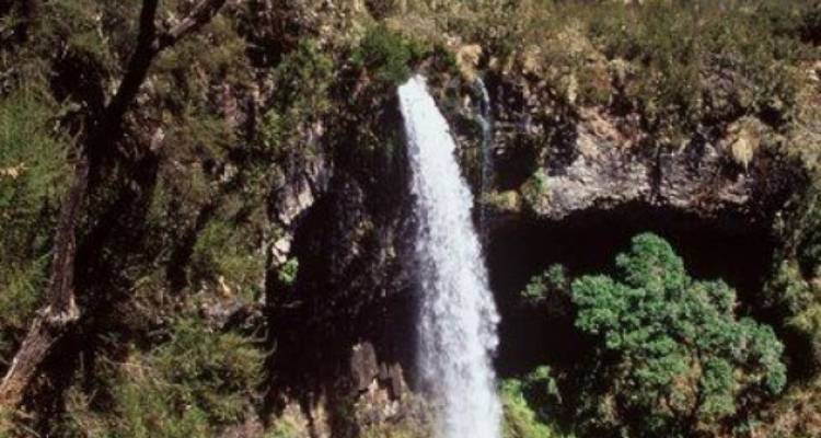 Haute cascade étroite plongeant dans une gorge boisée sous un éclairage tamisé
