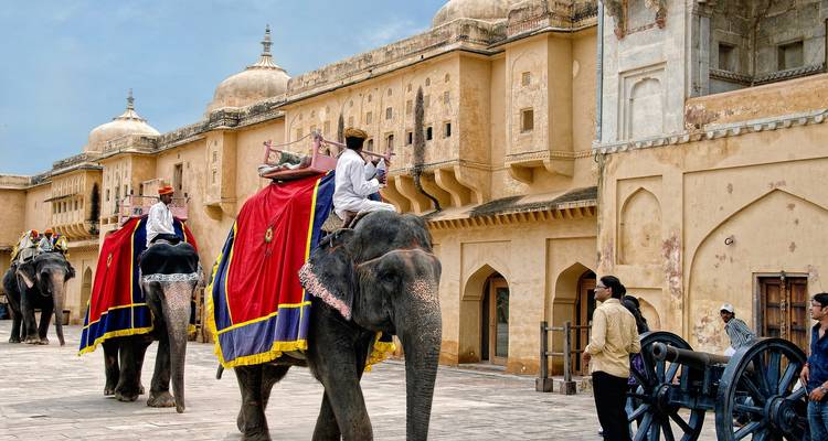7 Days Golden Triangle Ranthambore Tiger Safari Tour with 4 Star Hotels - Memorable India Journeys 9