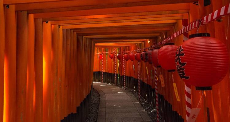 Les fameux tunnels de torii aux lanternes rouges à Kyoto, au Japon.
