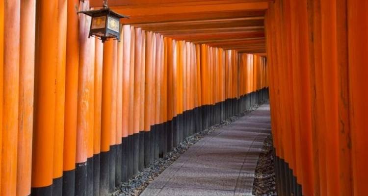 CIRCUIT DES CERISIERS EN FLEURS AU JAPON : OBSERVATION DES CERISIERS EN FLEURS AU JAPON - Tweet World Travel 1