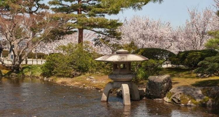 CIRCUIT DES CERISIERS EN FLEURS AU JAPON : OBSERVATION DES CERISIERS EN FLEURS AU JAPON - Tweet World Travel 4