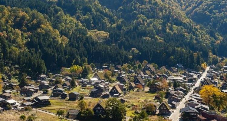 CIRCUIT DES CERISIERS EN FLEURS AU JAPON : OBSERVATION DES CERISIERS EN FLEURS AU JAPON - Tweet World Travel 9
