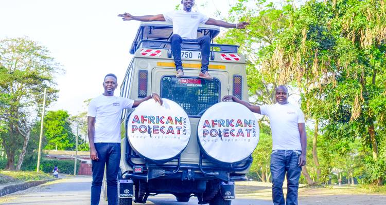 Safari privado de lujo de 4 días con visitas a Tarangire, el cráter del Ngorongoro y el lago Manyara - African Polecat Safaris 3