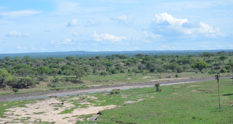 Safari privado de lujo de 4 días con visitas a Tarangire, el cráter del Ngorongoro y el lago Manyara - African Polecat Safaris 6
