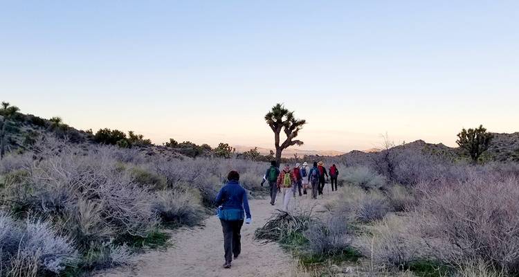 Hiking and Camping in Joshua Tree - Intrepid Travel 1