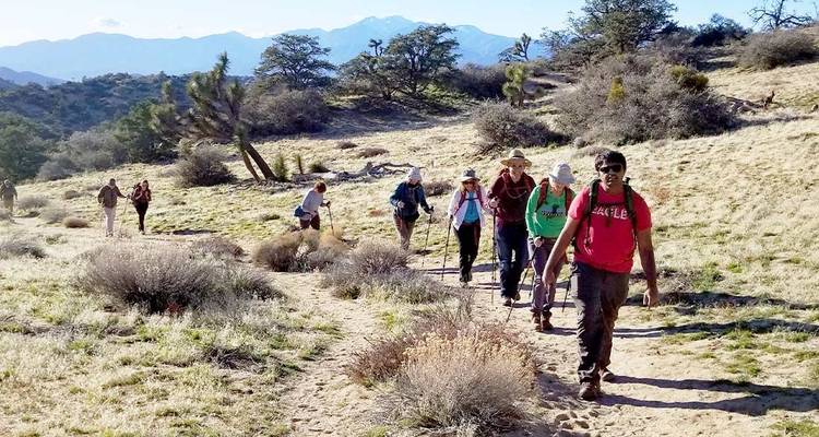 Hiking and Camping in Joshua Tree - Intrepid Travel 2