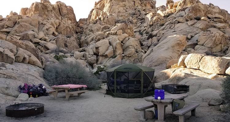 Hiking and Camping in Joshua Tree - Intrepid Travel 5