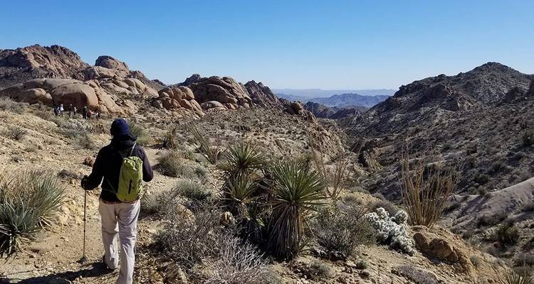 Hiking and Camping in Joshua Tree - Intrepid Travel 7