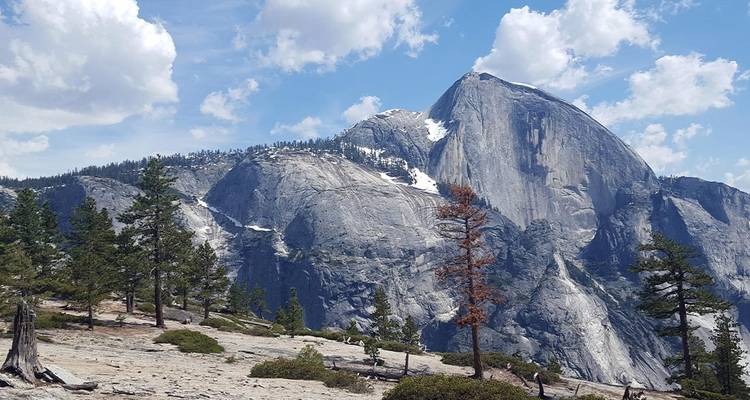 Hiking and Backpacking Yosemite's North Rim - Intrepid Travel 5