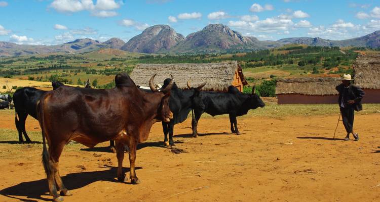 Madagascan Discoverer - Exodus Adventure Travels 4