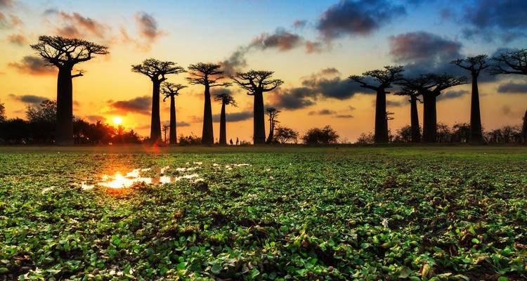 Madagascan Discoverer - Exodus Adventure Travels 8