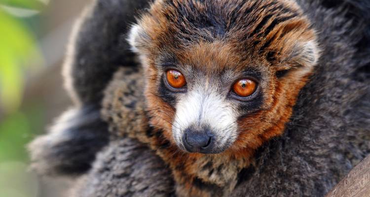Les points forts de Madagascar - Exodus Adventure Travels 3