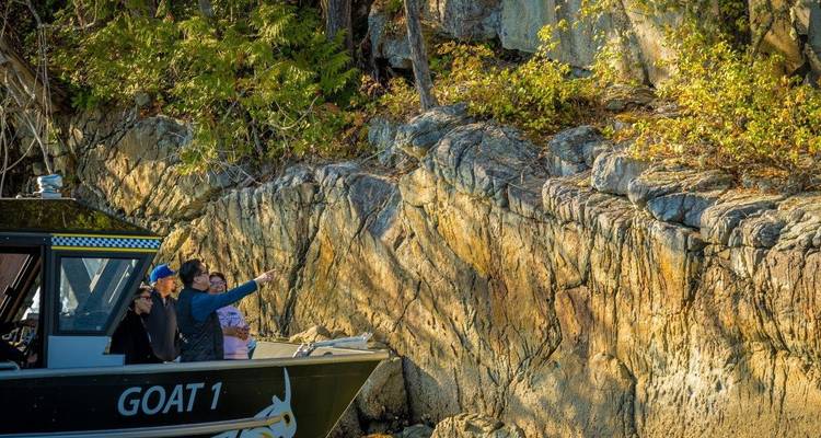 Grizzly Bear of Toba Inlet - 4 nights / 5 days - Klahoose Wilderness Resort 9