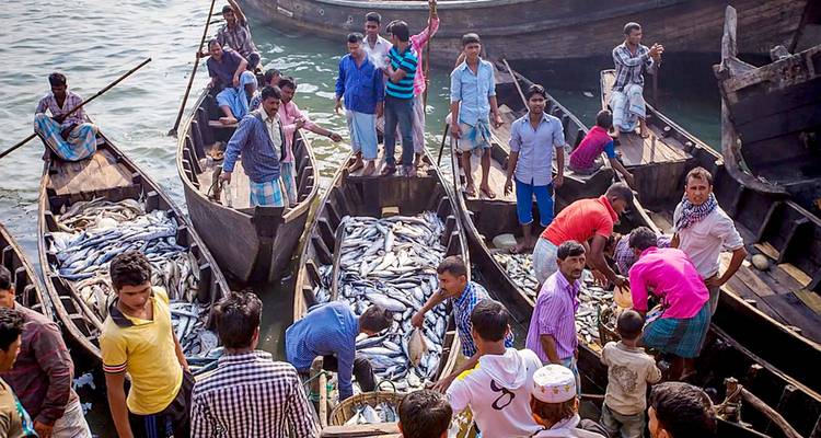9 Days Customized Bangladesh Family Tour, Daily Start & Private Guide - Agate Travel 4
