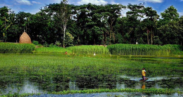 Vacaciones privadas a medida en Bangladesh de 9 días, con salida diaria - Agate Travel 3