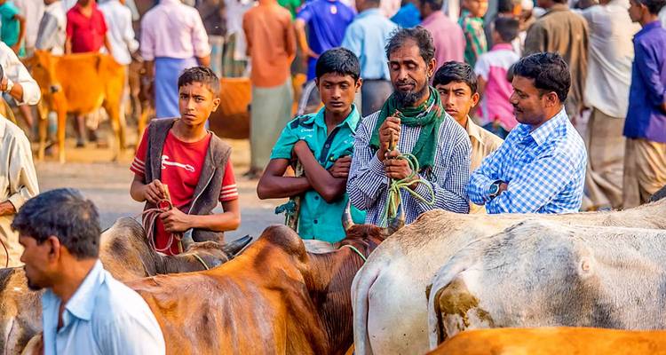 Voyage privé sur mesure de 9 jours au Bangladesh, départ quotidien et voiture exclusive - Agate Travel 9