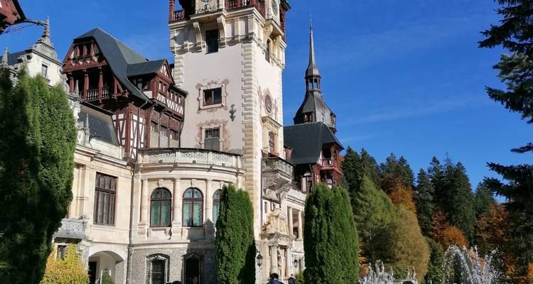 Las Maravillas Medievales y la Vida Salvaje de Transilvania: Un viaje inmersivo de 2 días - Business Trans Protocol 6