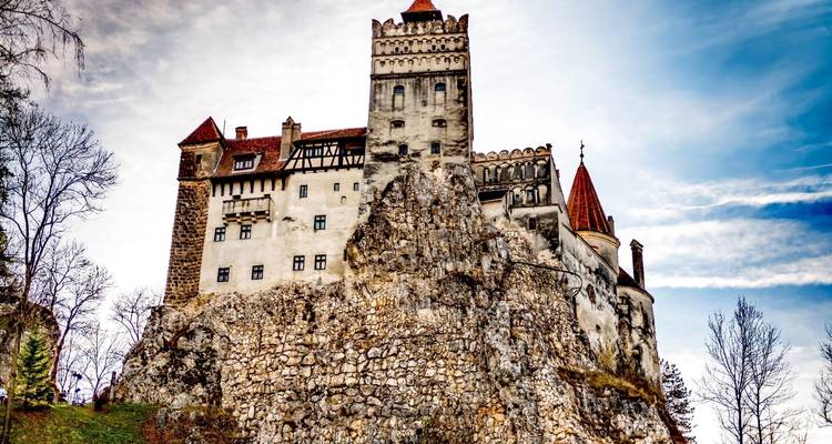 Las Maravillas Medievales y la Vida Salvaje de Transilvania: Un viaje inmersivo de 2 días - Business Trans Protocol 3