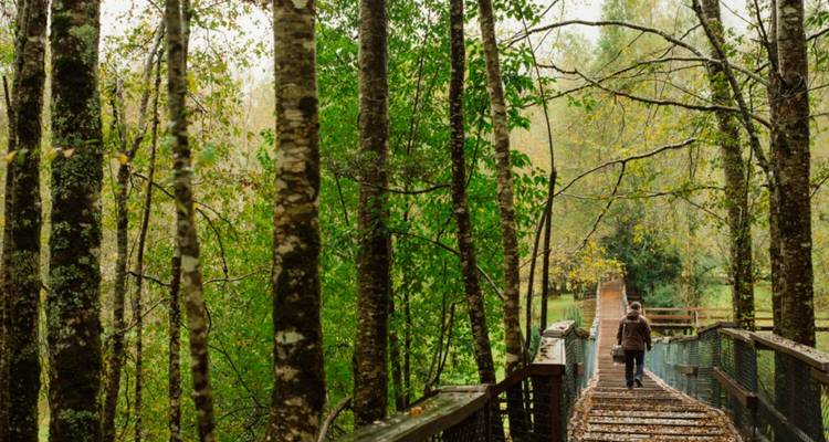 7 Days Lake District Adventure: Pucón Version - Responsible Travel South America 3