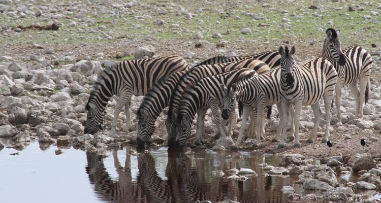 Safari Explorador del Sur | 43 días por tierra de Nairobi a Ciudad del Cabo - Africa Travel Co. 2