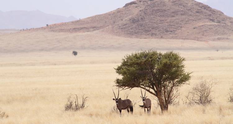 Safari Explorador del Sur | 43 días por tierra de Nairobi a Ciudad del Cabo - Africa Travel Co. 3