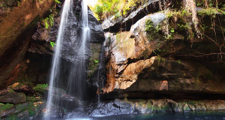Une cascade élancée se déverse sur des rochers couverts de mousse dans un bassin tranquille au sein d'une gorge forestière luxuriante.
