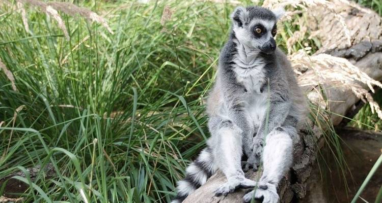 Les points forts de Madagascar - G Adventures 2