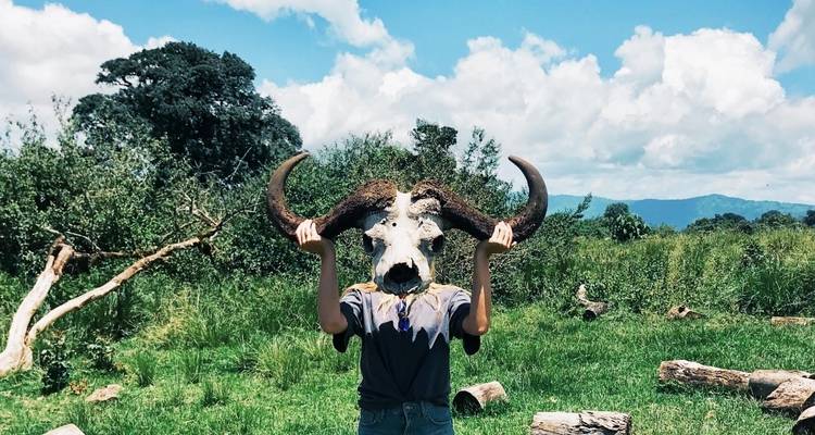 Experiencia de 7 días en un Safari Lodge de gama media visitando todos los Parques Nacionales, incluido un día de excursión por el Kilimanjaro - African Polecat Safaris 1