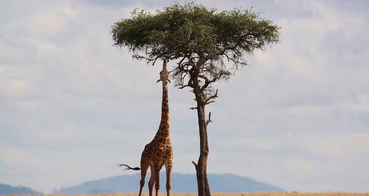 Afrique du Sud par voie terrestre : Le Cap, les chutes et Kruger - G Adventures 8