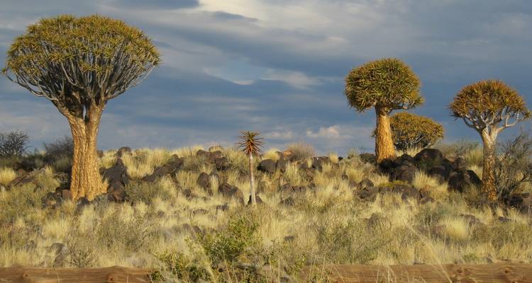 Afrique du Sud par voie terrestre : Le Cap, les chutes et Kruger - G Adventures 7