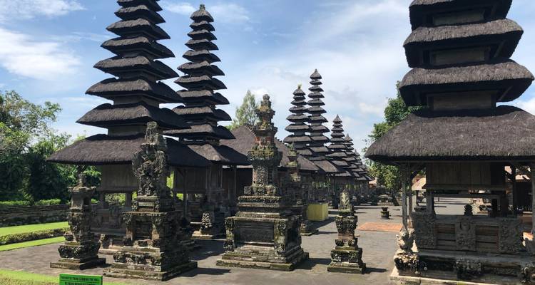 Circuito de Instagram con fotógrafo - privado todo incluido - Putu Bali Driver 9