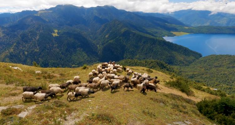 4 días Visita el lago Rara en el Parque Nacional de Rara de Nepal - Nepal Hiking Pvt. Ltd. 4